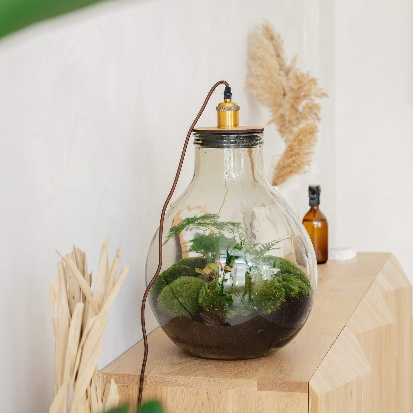 Ecolight XL Botanical -  Terrarium met lamp - 45cm - [shop_vendor] - Ecolight XL Botanical -  Terrarium met lamp - 45cm - Atelier