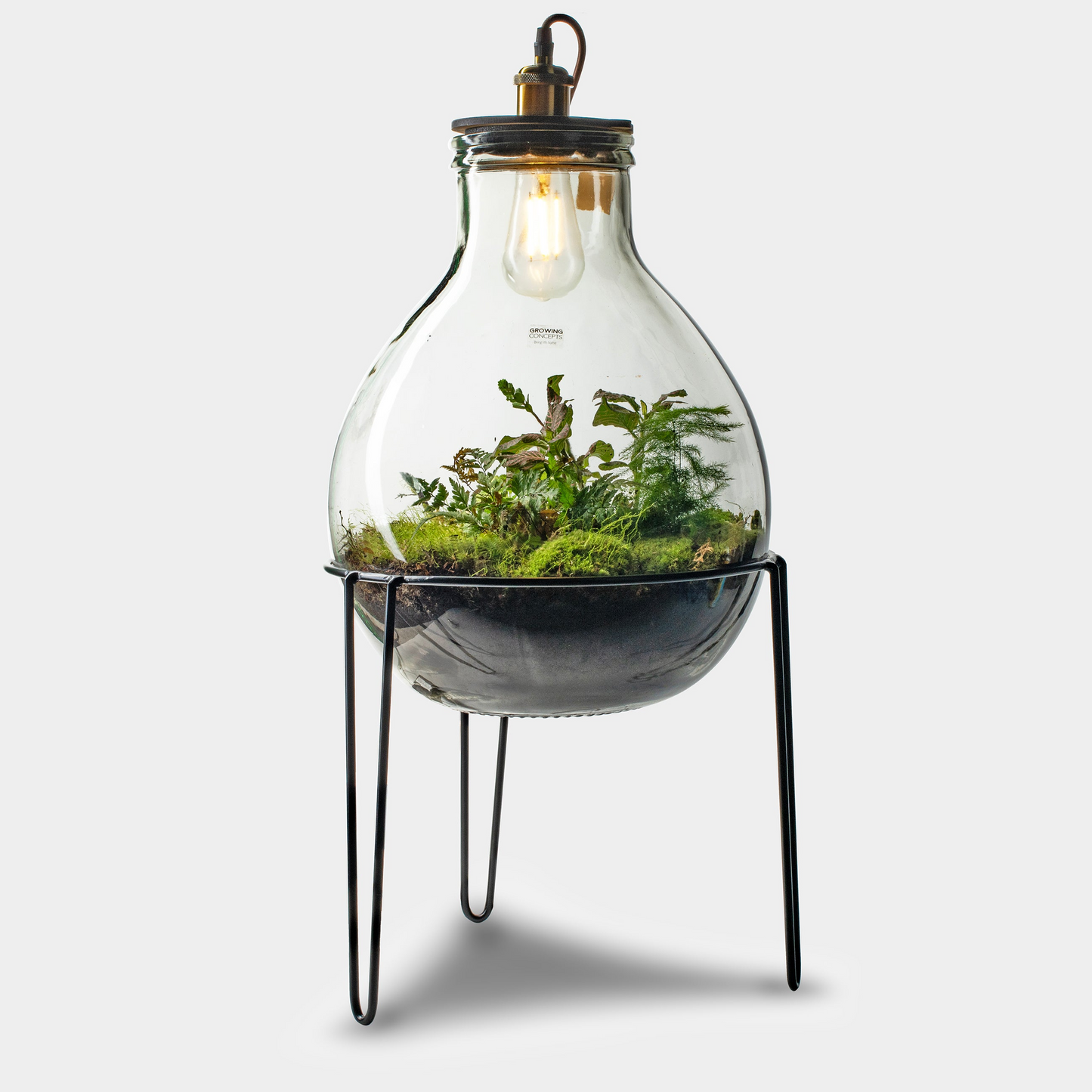 Ecolight XXL  Botanical incl. standaard - Terrarium met lamp - 80cm - [shop_vendor] - Ecolight XXL  Botanical incl. standaard - Terrarium met lamp - 80cm - Atelier