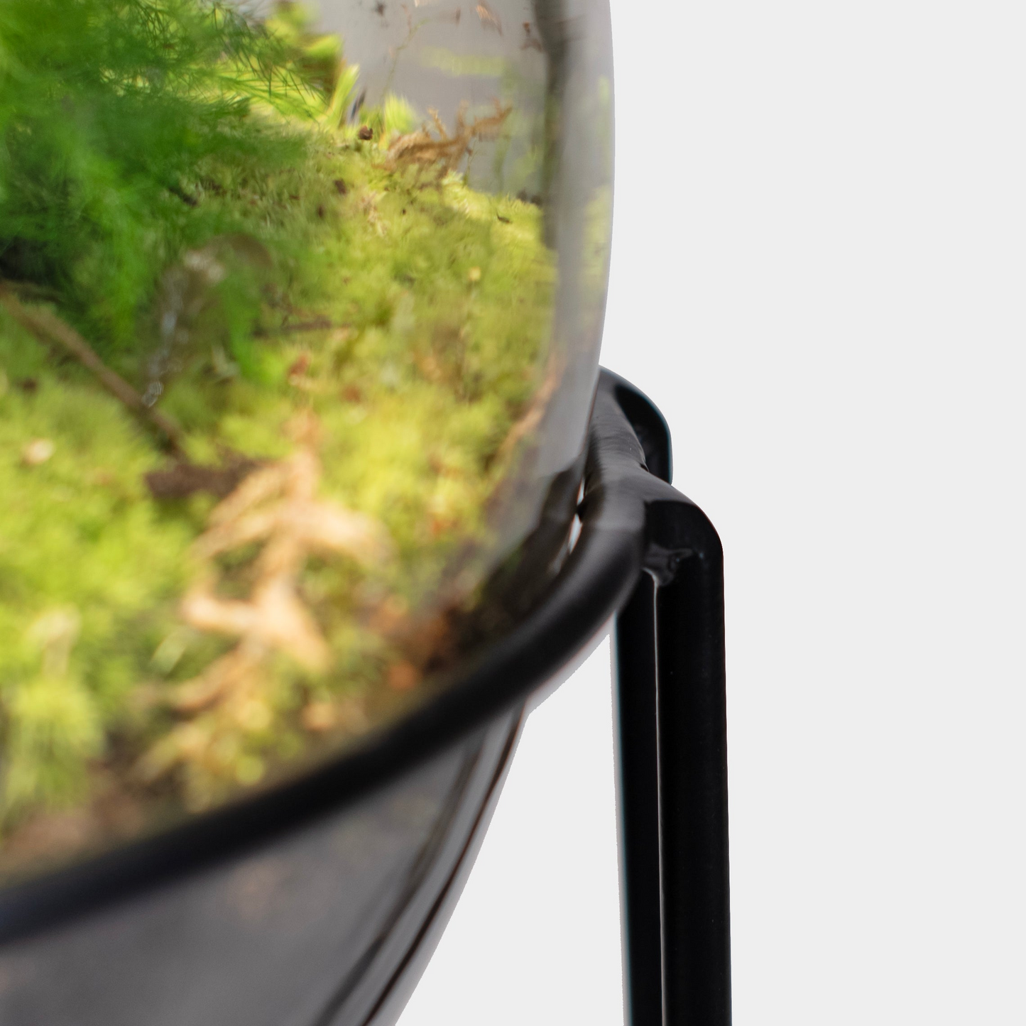 Ecolight XXL  Botanical incl. standaard - Terrarium met lamp - 80cm - [shop_vendor] - Ecolight XXL  Botanical incl. standaard - Terrarium met lamp - 80cm - Atelier