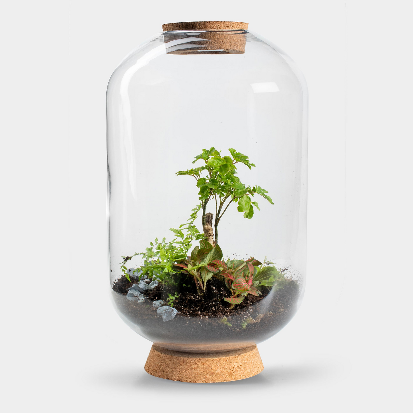 Mandy Forest - Terrarium met led - 50cm - [shop_vendor] - Mandy Forest - Terrarium met led - 50cm - Atelier