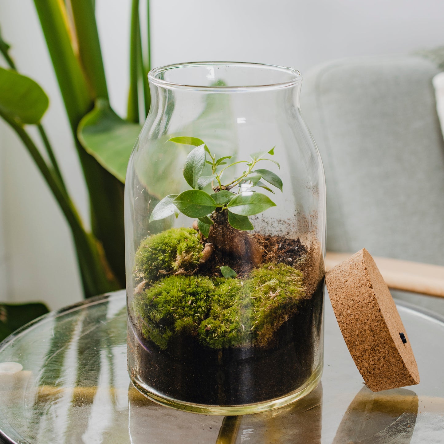 Bonsai - Terrarium with LED - 30cm