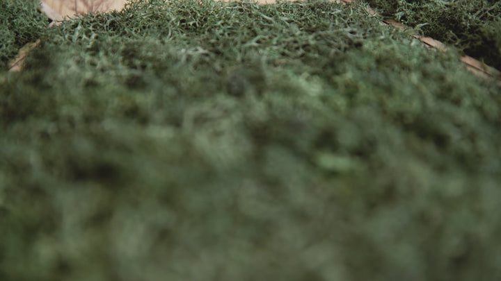 Sechseckige Wandfliese | Mooswand | Grün | Selbstklebend | ↑21CM - ↔24CM